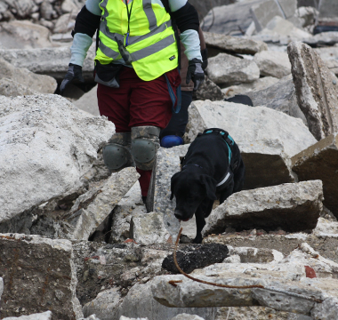 Ganon searching on a rubble pile